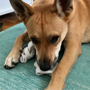 Meet your Posher, Mila